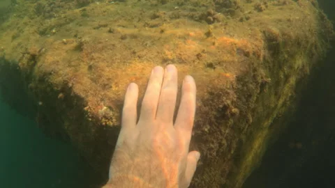 Human hand exploring a rocky seafloor, interacting with marine life and algae in Stock Footage 343352871