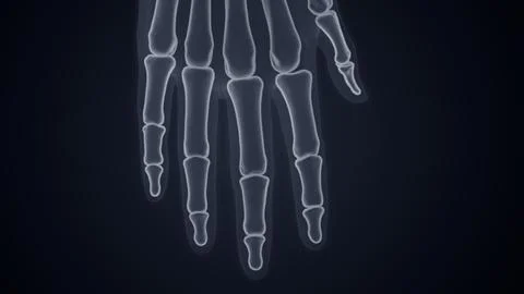 Human hand fingers X-ray of 3D illustration Stock Illustration