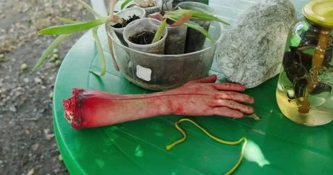 Human hand Stock Footage 137648638