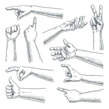 Human hand gesture. Vector sketch hand drawn illustration. Male or female han Stock-Illustration