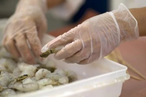Human hand with golves holding shrimp Foto stock
