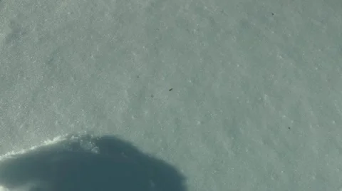 The human hand got out from under snow and signals about the help Stock Footage 12743296