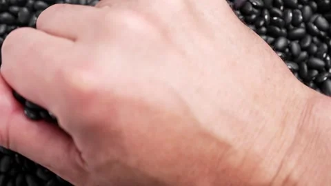 Human hand grabbing a uncooked black turtle beans Stock Footage 342529057
