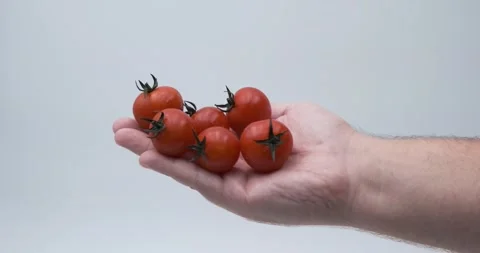 Human hand hold several fresh beautiful cherry tomatoes Stock Footage 148963111