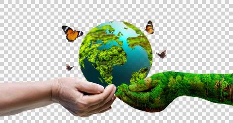 Human hand holding a globe Isolate on transparent background PNG file Stock Photos