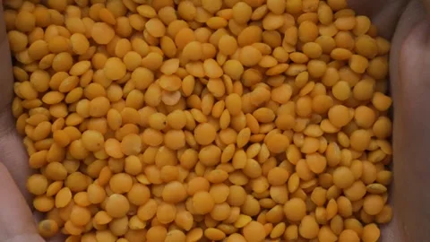 Human hand holding heap of dry orange lentils macro 4k Video stock 336933386