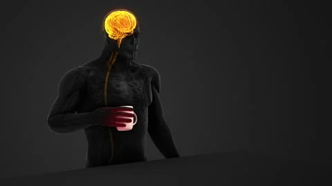 Human Hand Holding Hot Cup with Sensory Nerve Signals Vídeos de archivo 316370375