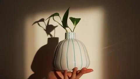 Human hand holding a white striped ceramic vase with a fresh green plant Stock Footage 344264147