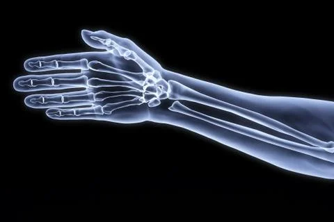 Human hand Stock-Illustration