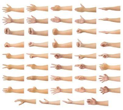 Human hand isolate on white background. Stock Photos