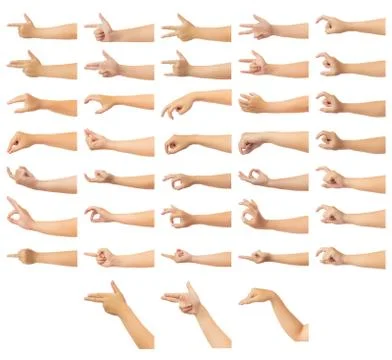 Human hand isolate on white background. Stock Photos