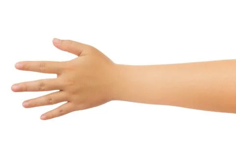Human hand isolate on white background. Stock Photos