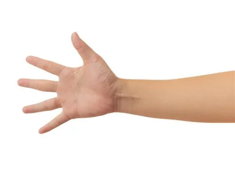 Human hand isolate on white background. Stock Photos