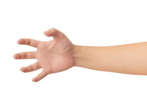 Human hand isolate on white background Stock Photos