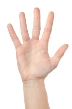 Human hand isolated Stock Photos