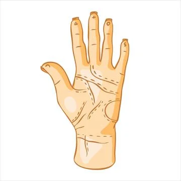Human hand with lines on the palm. Divination by hand, palmistry. Stock Illustration