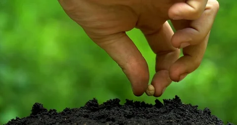 Human hand make three holes by shovel and planting seeds into soil. Stock-Footage 127747603