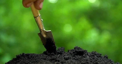 Human hand make three holes by shovel and planting seeds into soil Video stock 127747607