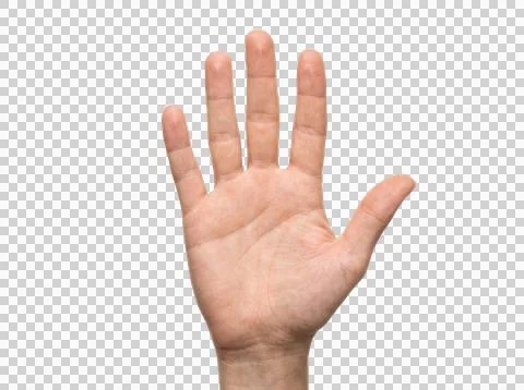 Human hand with open palm isolated against transparent background for inter.. Stock Photos