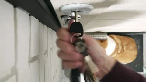 A human hand opens the keyhole of the door with a key to let the dog out for a w Stock Footage 297776242