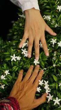 Human hand 写真素材