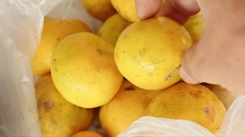 Human hand picking up fresh orange fruit from inside a white plastic bag Stock-Footage 330315645