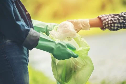 Human hand picking up plastic into bin bag on park. Stock Photos