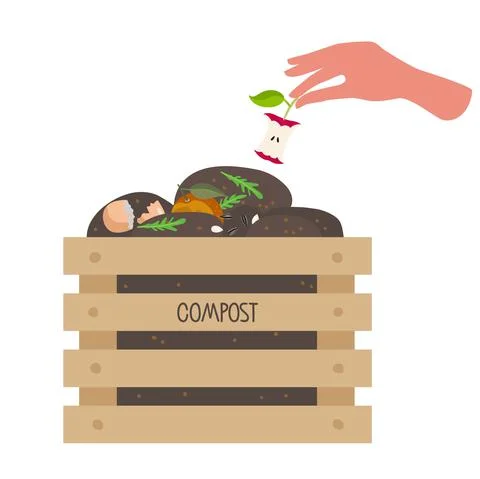 Human hand puts core apple in box with compost. Wooden box with fruits Stock Illustration