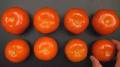 Human hand puts down last red tomato on a table Stock Footage 54417681