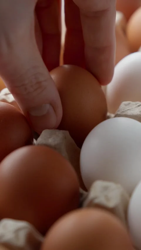 Human hand puts raw chicken egg in container. Box with rows of chicken eggs Stock Footage 302747237