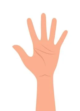 Human hand showing number five with fingers, isolated on white background Illustrazione stock