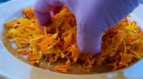 Human hand sifting through marigold petals Stock Footage 68767158