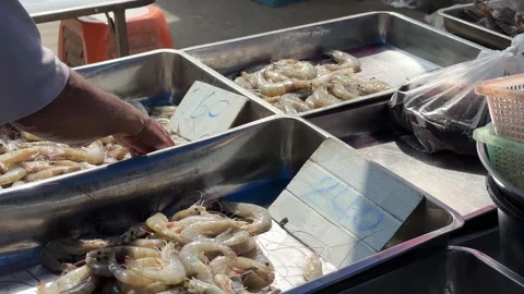 Human hand sorting Fresh White Shrimps on the market Stock Footage 277607433