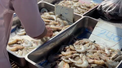 Human hand sorting Fresh White Shrimps on the market Stock Footage 277607565