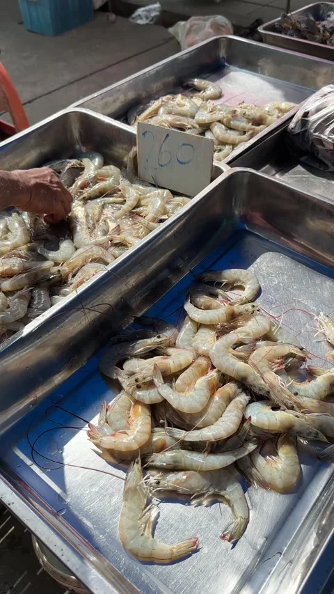Human hand sorting Fresh White Shrimps on the market Stock Footage 277690745