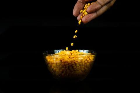 Human hand with split yellow gram in a bowl Stock Photos