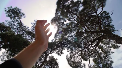 Human hand at sunset in the sky, dream of happiness, meditate in the rays of Stock Footage 241796762
