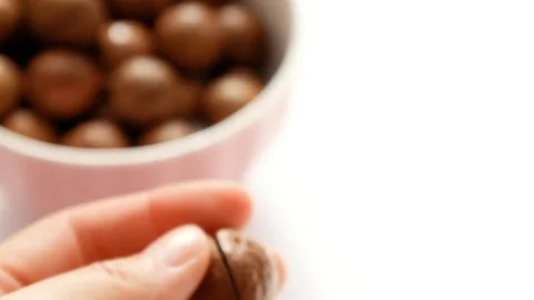 Human hand takes a macadamia nut and opens the shell with a metal key to get 動画素材 129959531