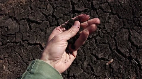 Human hand takes a sample of the black soil Stock-Footage 49513012