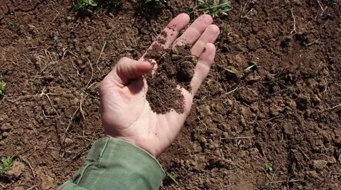 Human hand takes a sample of the soil of the earth Видео 49512972