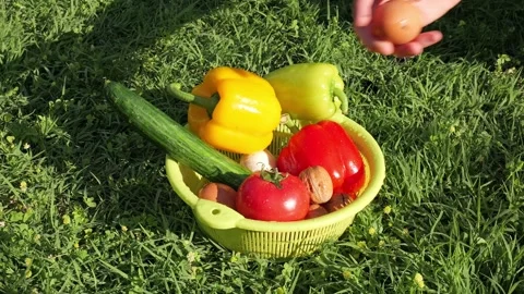 Human hand taking egg from basket of fresh vegetables Stock Footage 337066856
