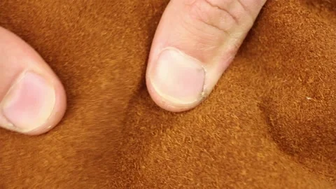 Human hand testing seamy side brown natural leather, close-up macro view Stockbeeldmateriaal 135290747