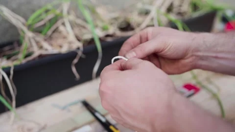 Human Hand Tightening Loop Of A White Yarn Thread. Close-up Shot Stock Footage 274635873