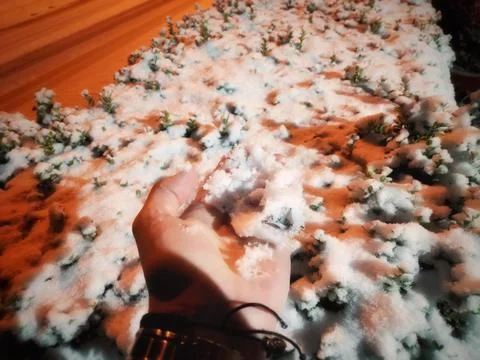 Human Hand Touching Snow on a Winter Path Scene Stock-Fotos