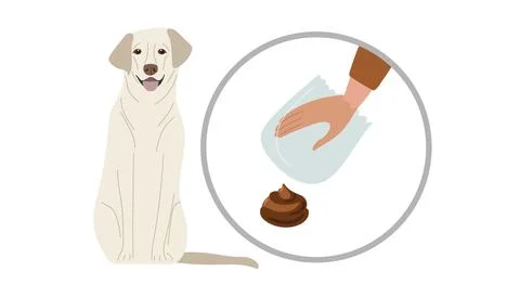 Human hand in transparent bag going to remove pet waste. Labrador retweaver Stock Illustration