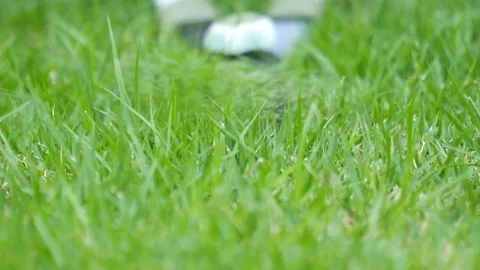 Human hand using scissor to cutting grass at the field Stock Footage 72159537