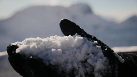 Human hand in winter glove holding lots of fresh snow on high altitude Stock Footage 224744171