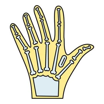 Human hand x ray showing anatomy of bones Stock Illustration