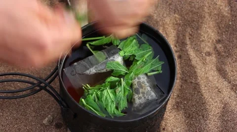 Human hands add fresh mint leaves to the pot with tea Stockbeeldmateriaal 52485588