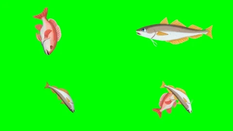 Human hands catching and holding various fishes jumping out of water 2d Stock Footage 334702820